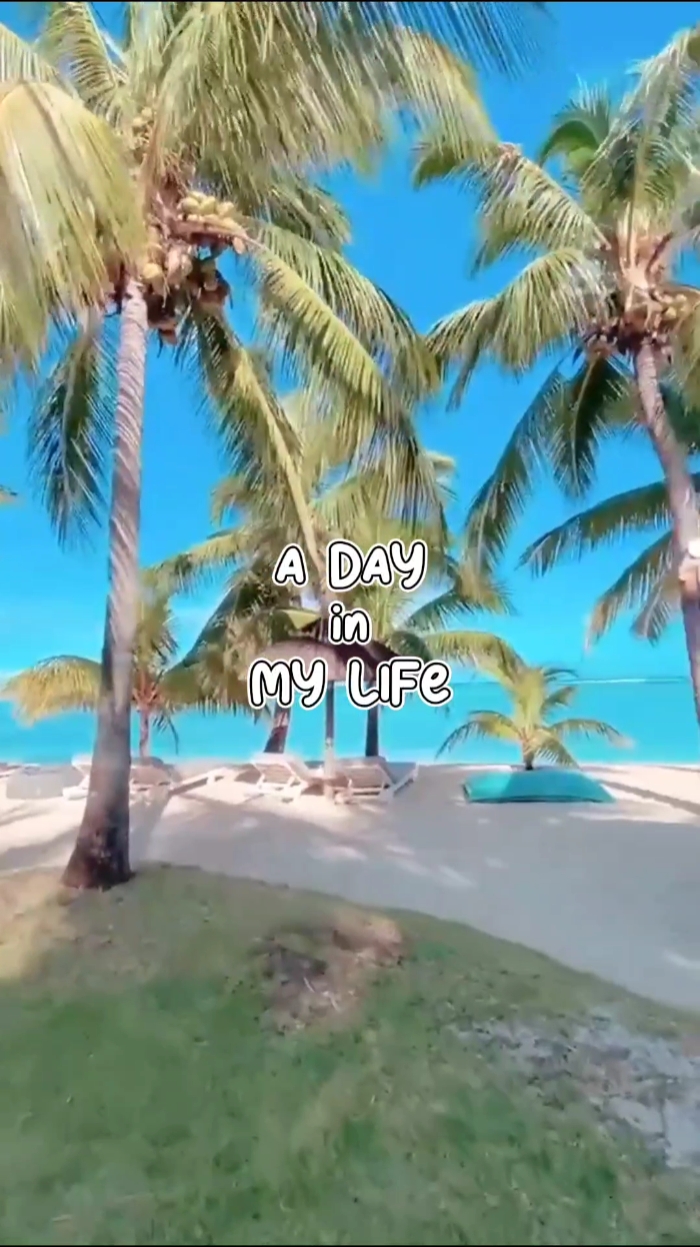 A Day in My Life 2.3