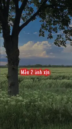 Thêm 2 ảnh