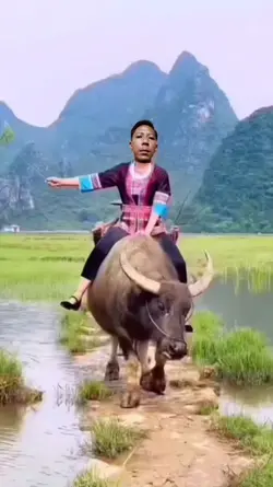 Naik Gajah