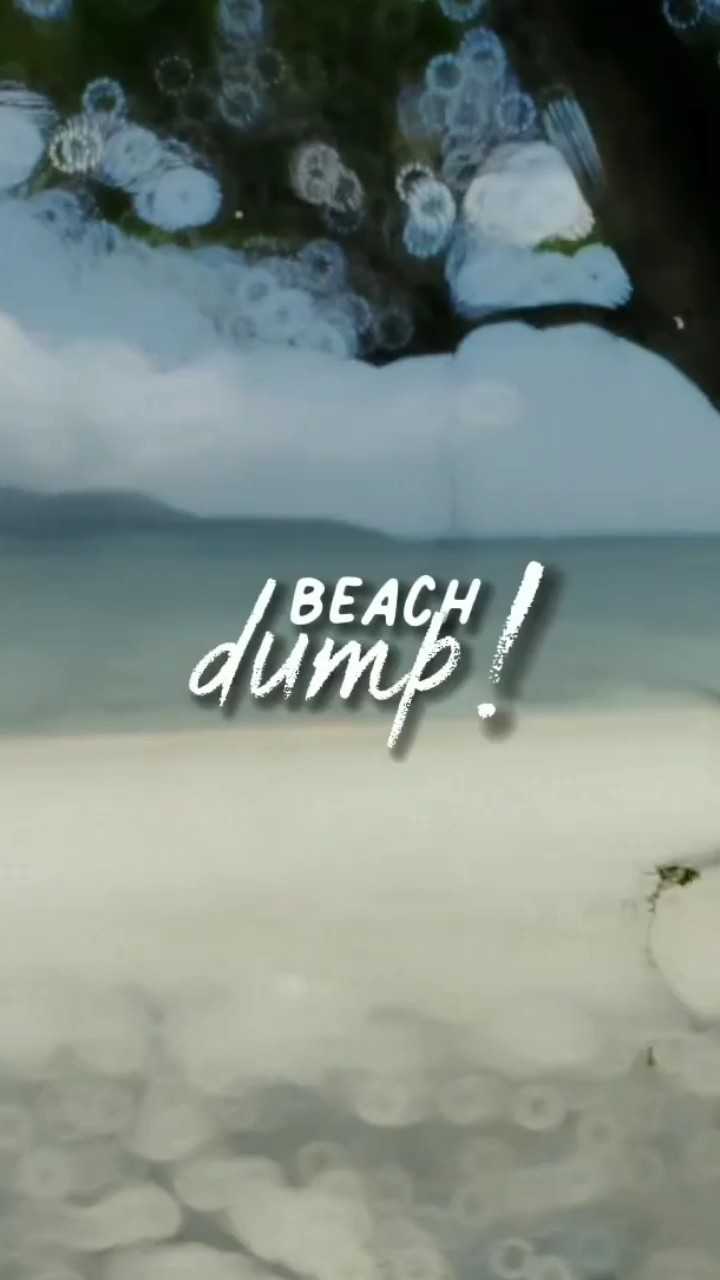 Beach Dump