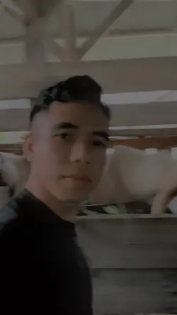 DOMBA NU KURING 🐏🐏