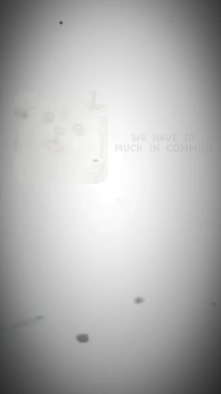 Young dumb and broke