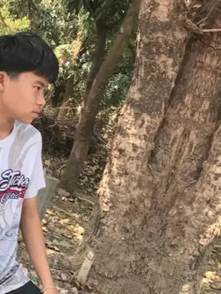 2รูปมาใช้กีนเยอะๆคับ