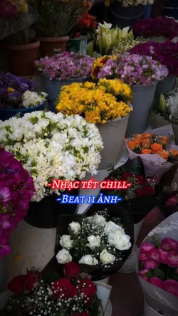 BEAT 11 ẢNH
