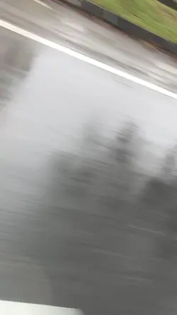 7anh.