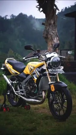 KUNING MEMANG GACOR