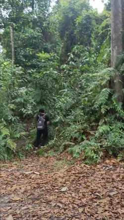#sibolang