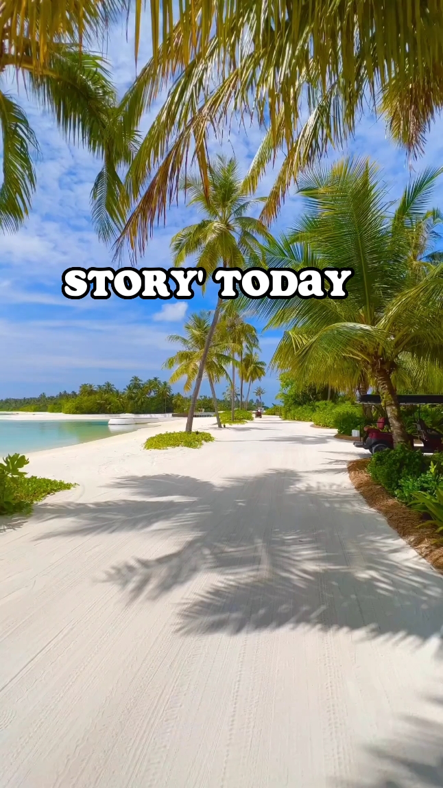 TODAY'S STORY 