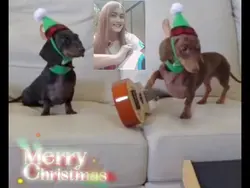 MÈRRYCHRISTMAS