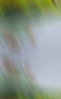 Cuộc sống mà bị ngã 