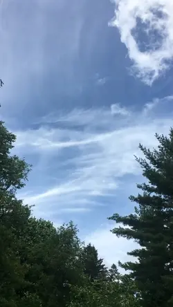 1 video 4 photo 