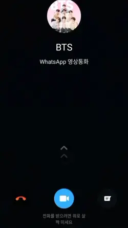 videl call bts
