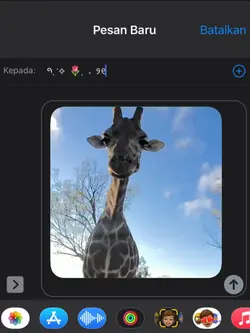 frame iphone cute