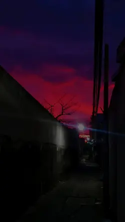 Mai_đẹt_ti_ni
