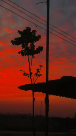 chiều tà bình yên qu