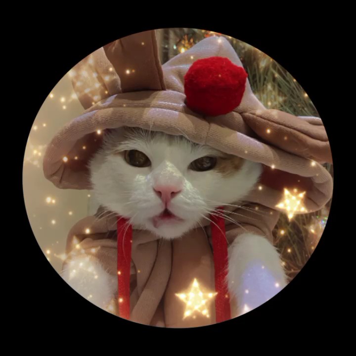 For Your Cat