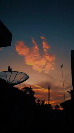 tanpa kata