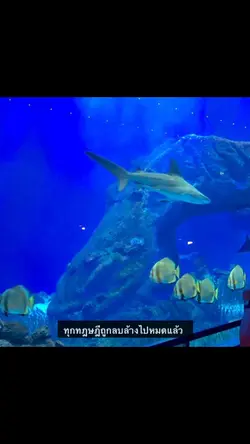 นักวิทยาศาสตร์🌱