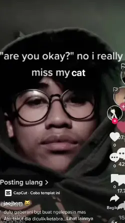 kangen kucing