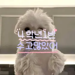 4학년1반만쓸수있는템