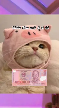 Mẫu lì xì