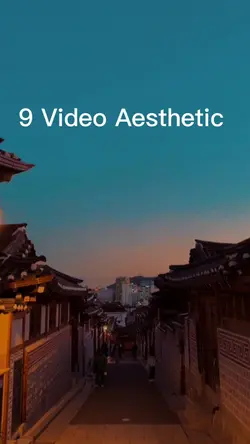 video aesthetic