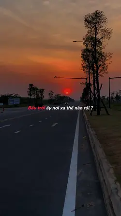 Mẫu slow mượt + màu