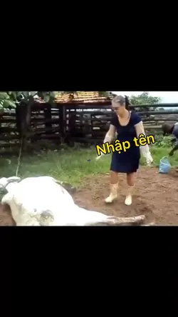 Mẫu hài 🤣