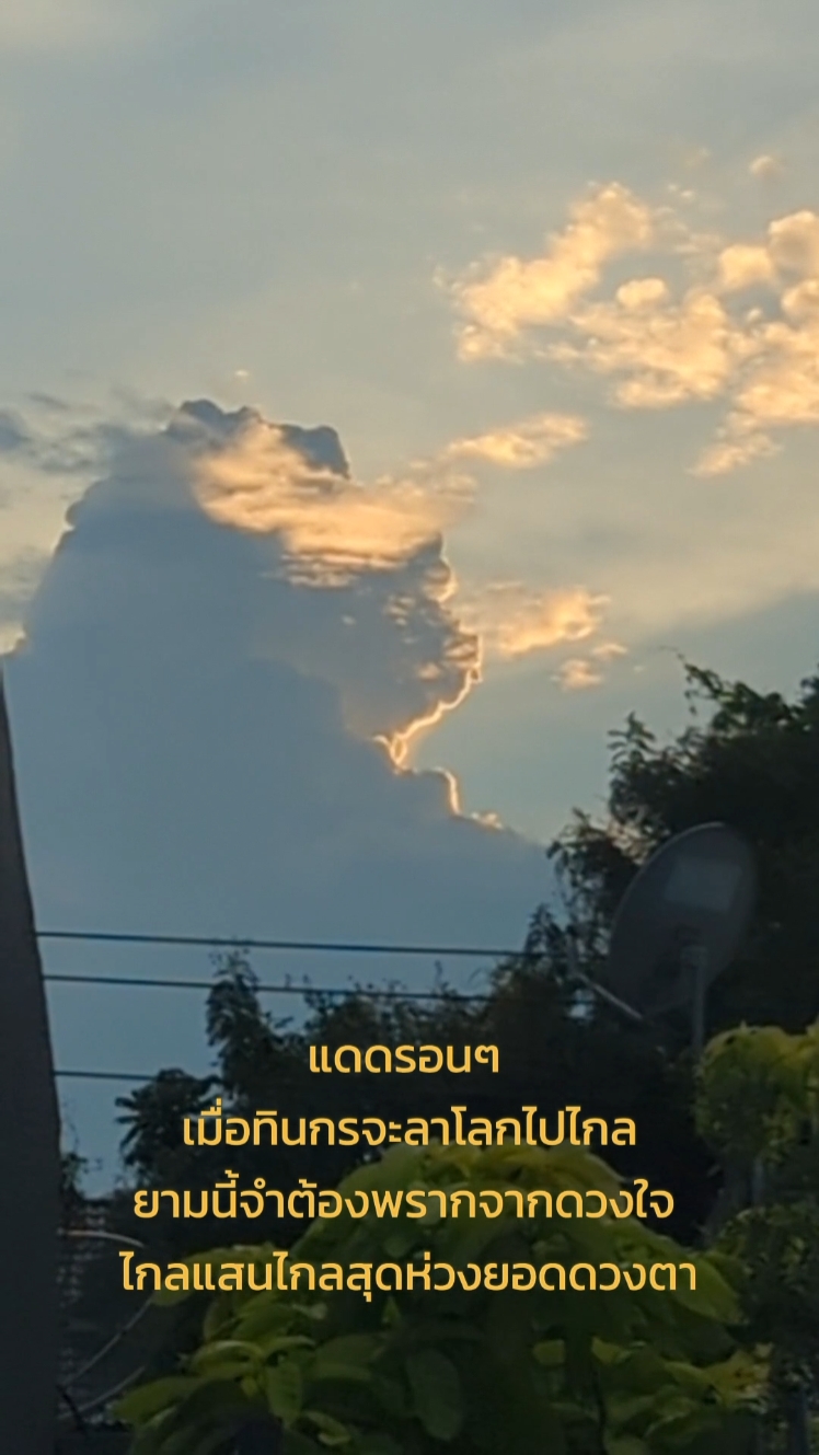 Template cover