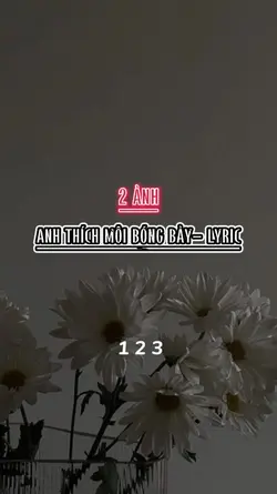 2 ảnh