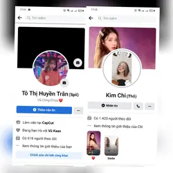 Giới Thiệu FB, IG 