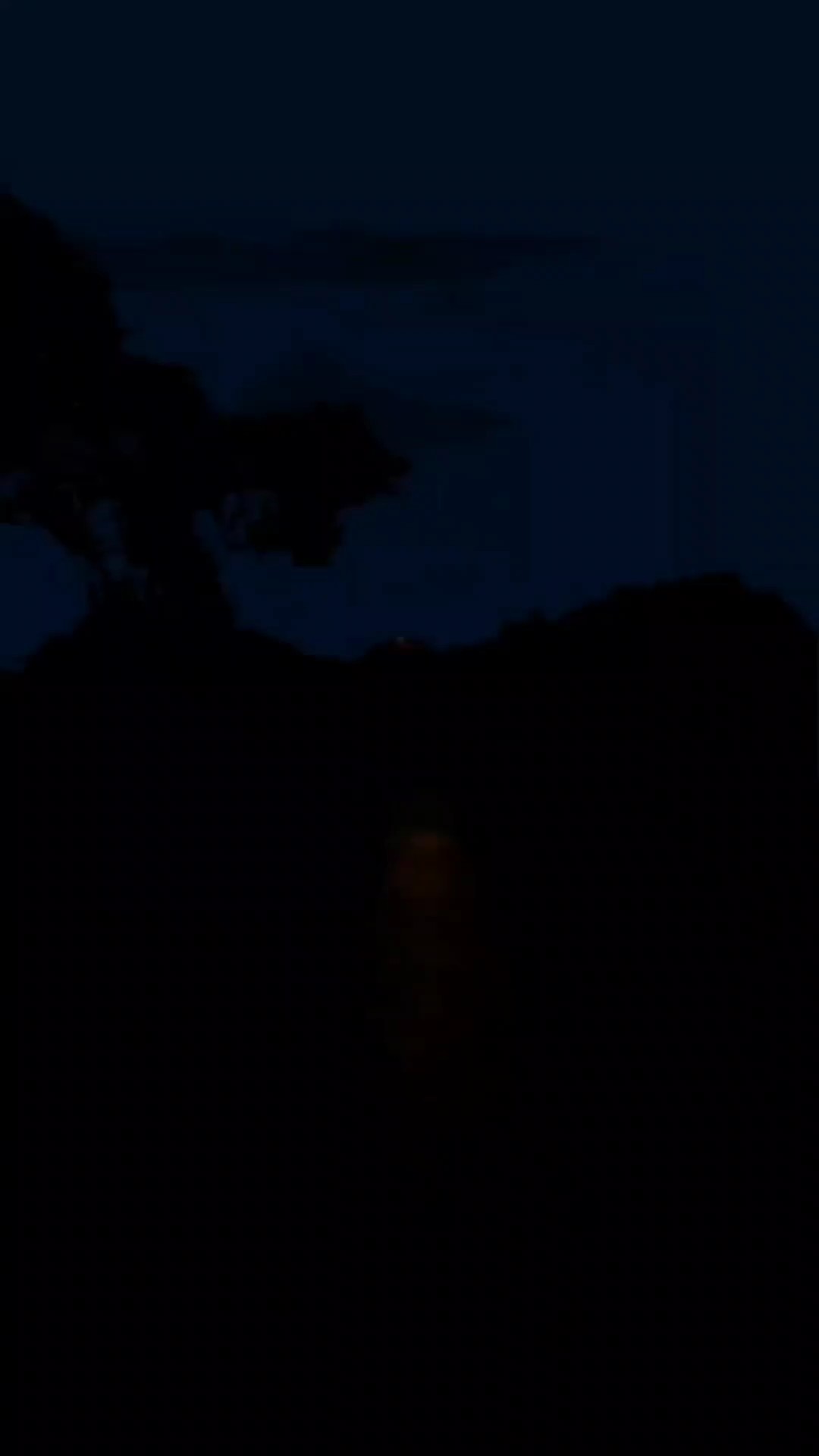 THE PATH THAT GOD 