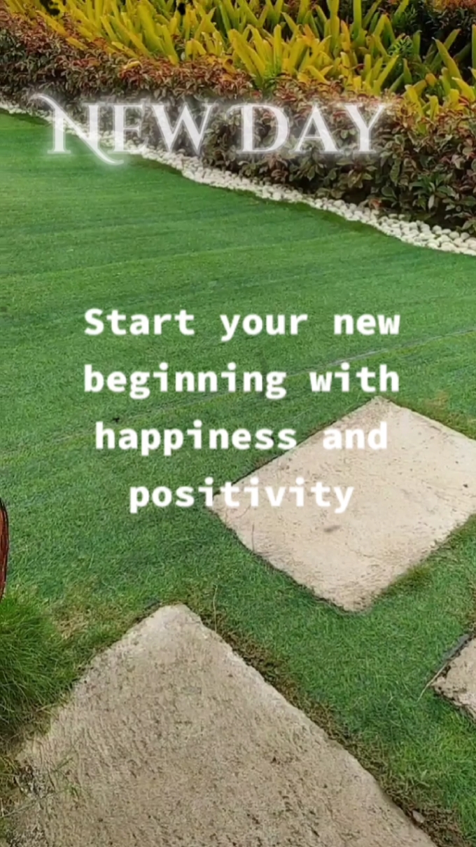 Positivity New Day