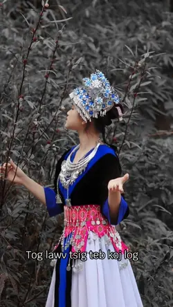 tog lawv tsig teb