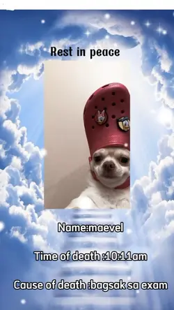 bagsak kadin ba