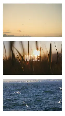 Nature view วิว