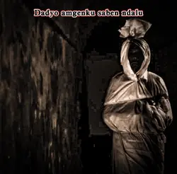 wengi kadyo setro
