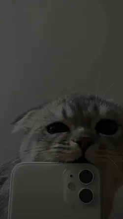 Dance The Night Away