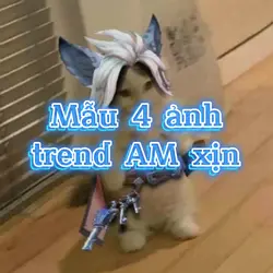 Mẫu 4 ảnh trend AM