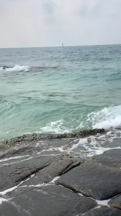 🌊🐳