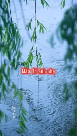 Mẫu 15 ảnh 