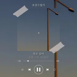 호랑수월가 