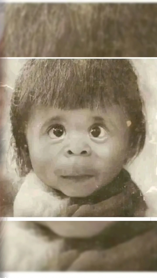 Wajah Bayi Lucu