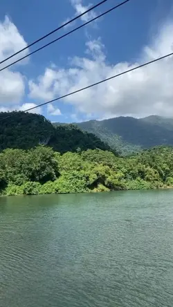 Vlog