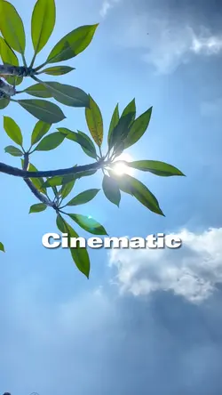 Cinematic