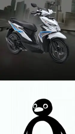 PENGUIN MEME