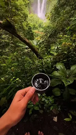 Slowmotion view