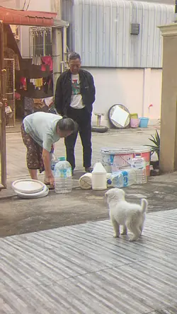 ข้าวเหนียว