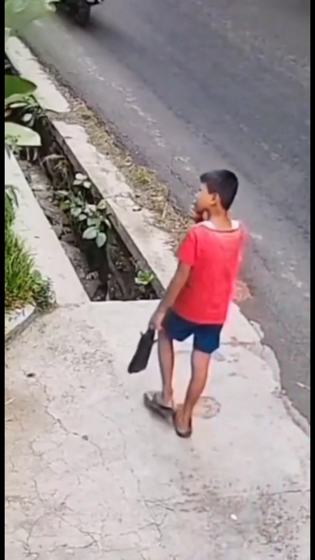 pasabay sa trend