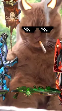 Mèo FF Cực Chiến